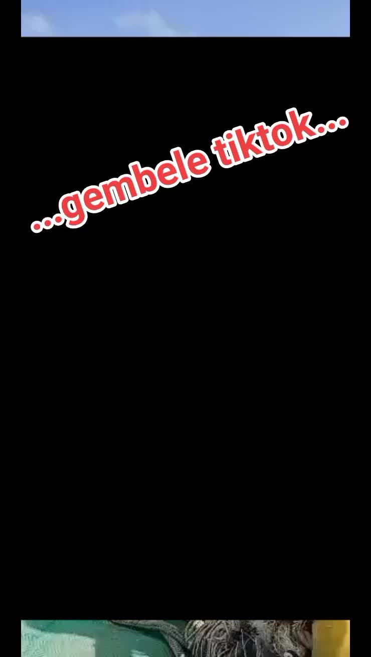 @Andra Ragil630