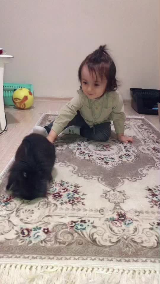 @&Ouml;zlem Bakır