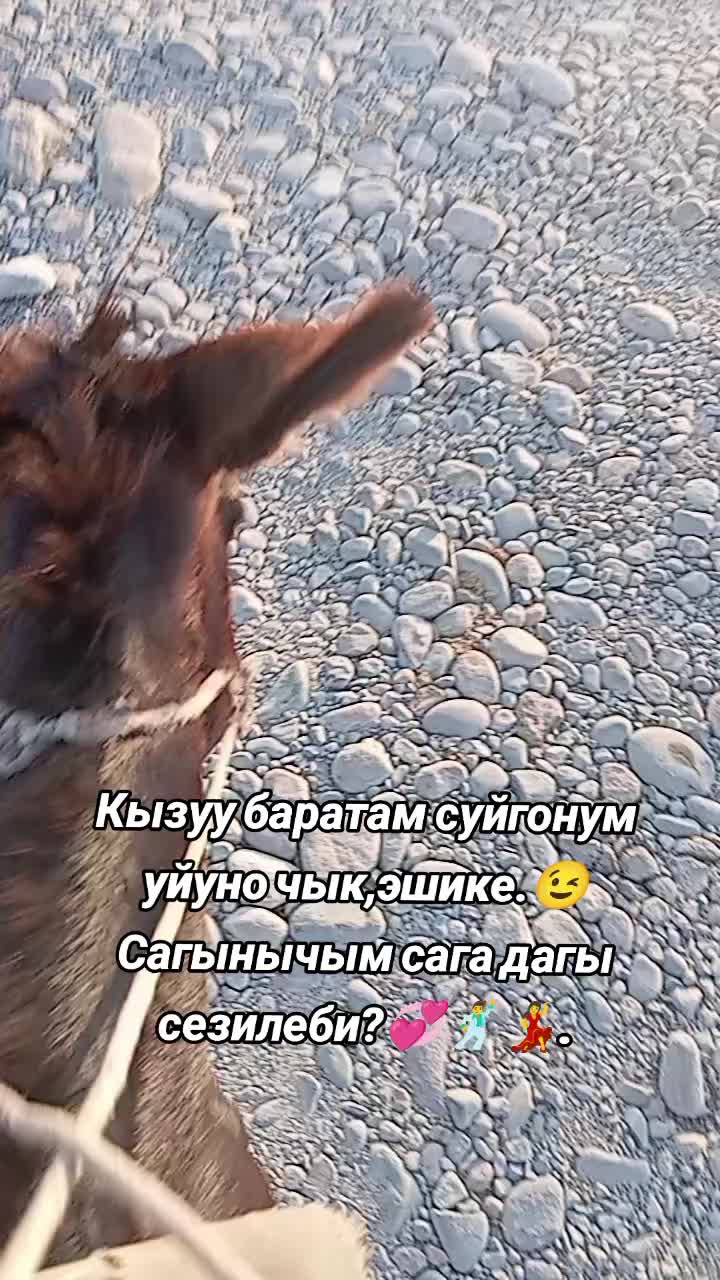 @🇰🇬̤К̤Ы̤М̤Б̤А̤Т̤Б̤Е̤К̤🇰🇬