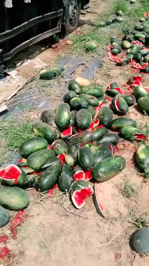 @123456789