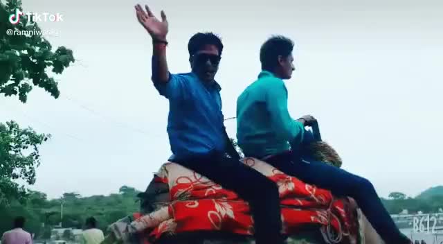 @ANKIT TAK