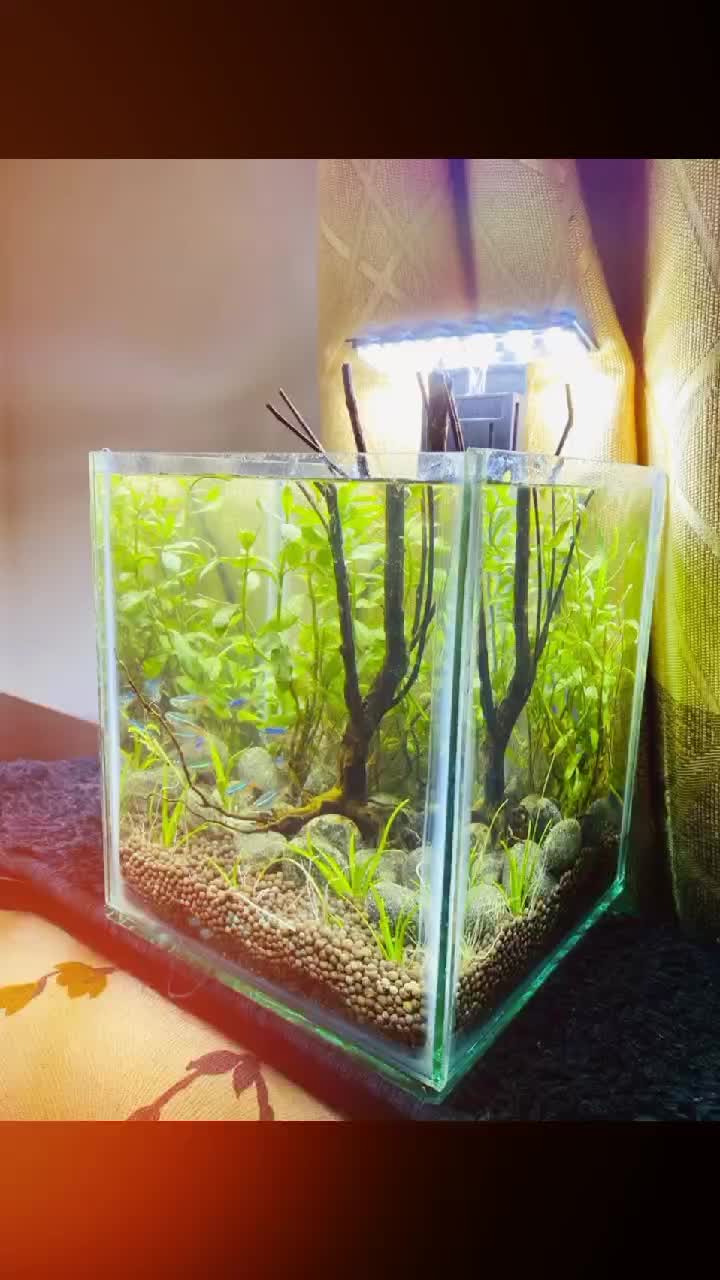 @goldenaquahub