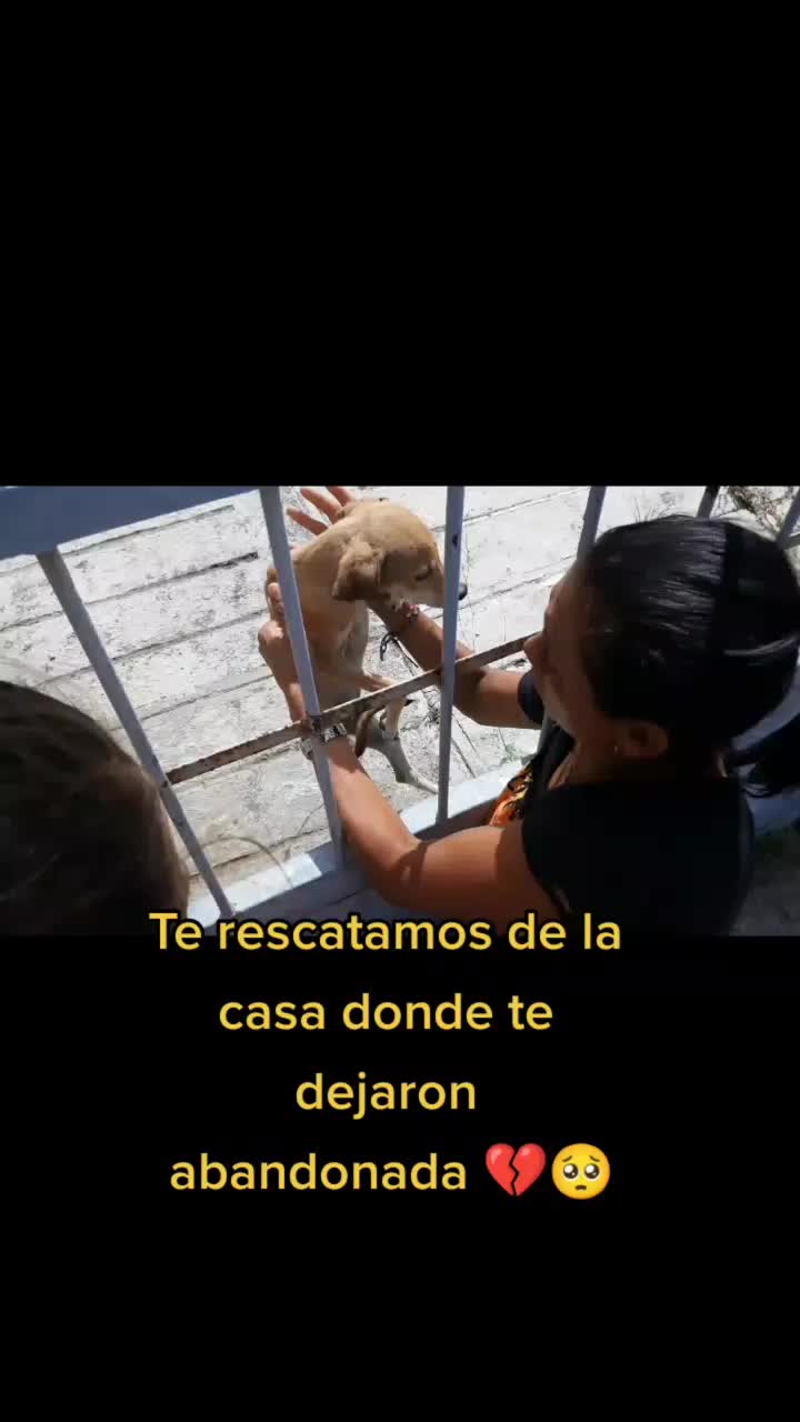 @Alejandra Beroes🐾