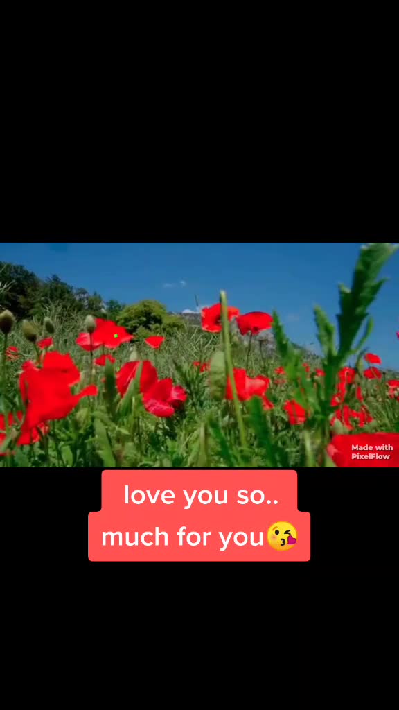@cute_babbu.. priyu🥰