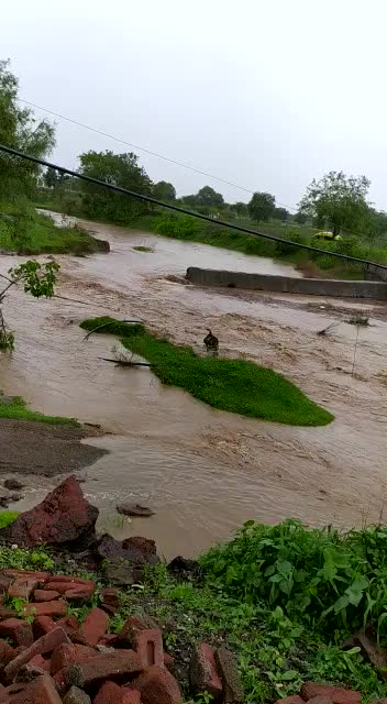 @बागल पाटिल
