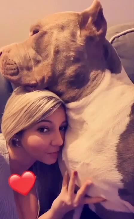 @ShadowBullyXXL