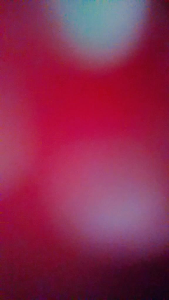 @famouselexi