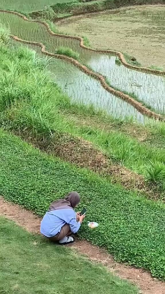 @๐ชโ๐ฑโ๐ชโ๐ฐโ๐ฎ๐ค๐ฝ๐๐ฃ๐๐