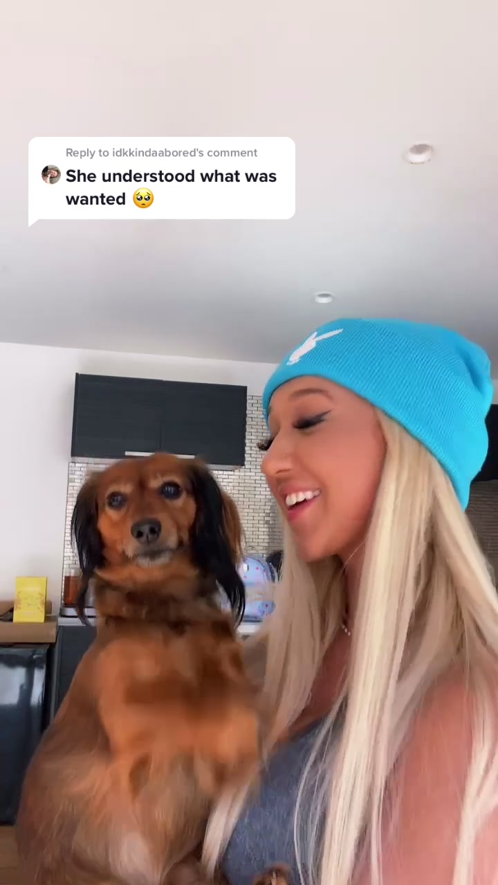 @Stephh