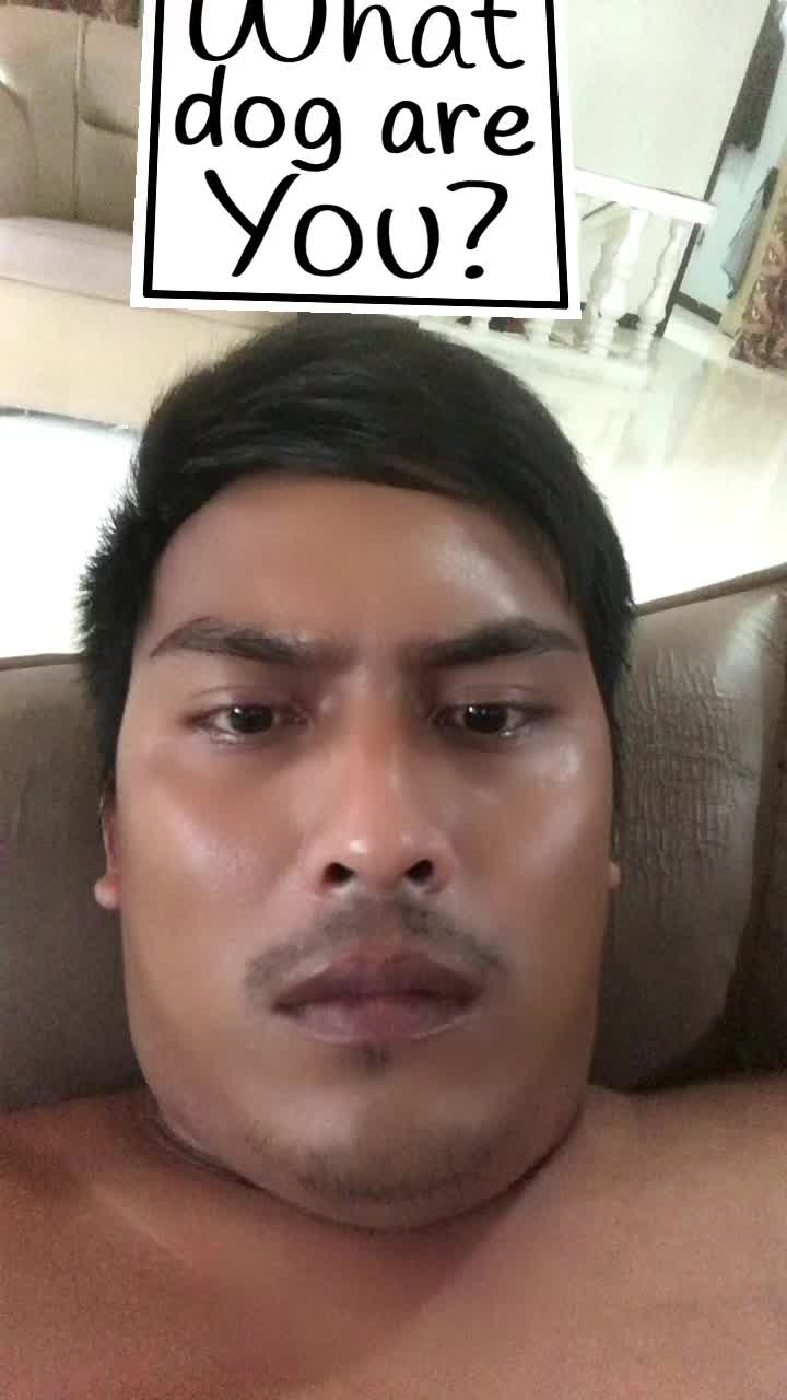 @Dokyo