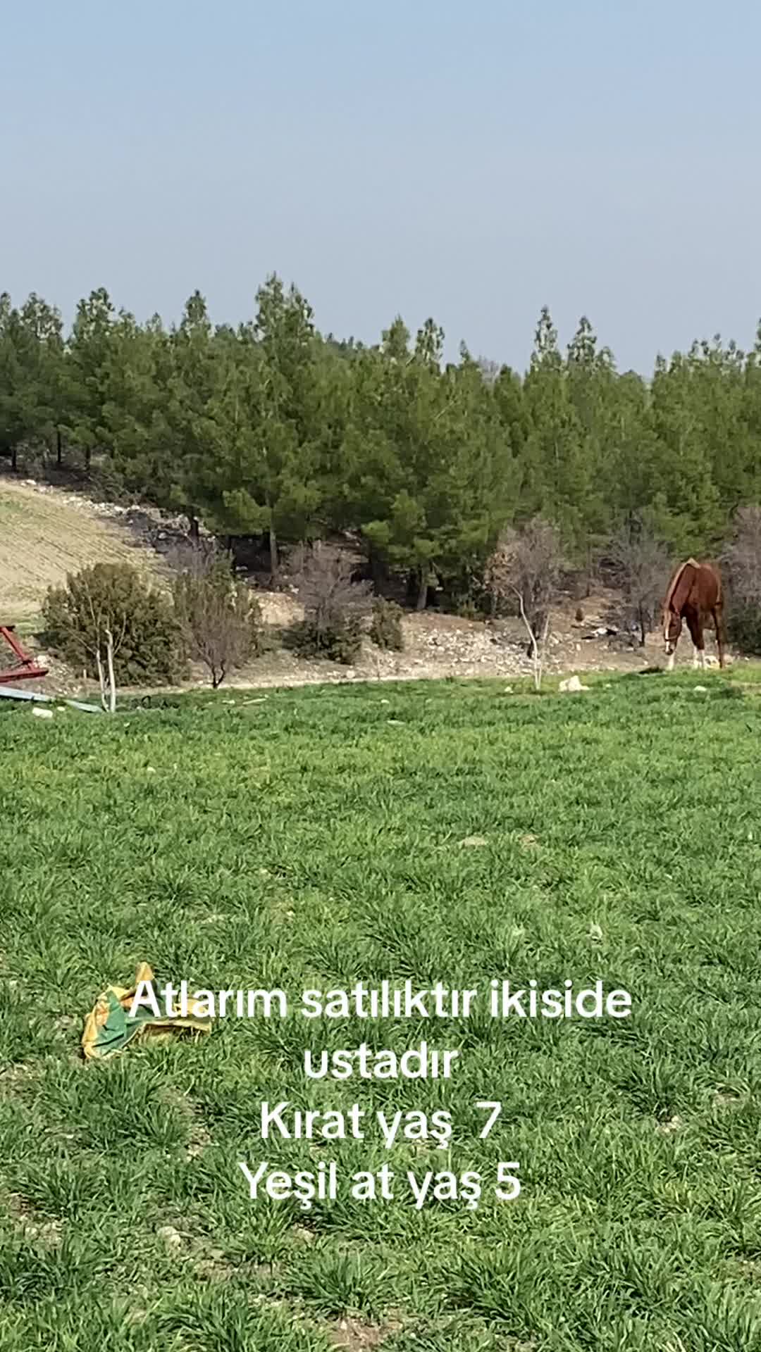 @Emre &Ccedil;&uuml;men 