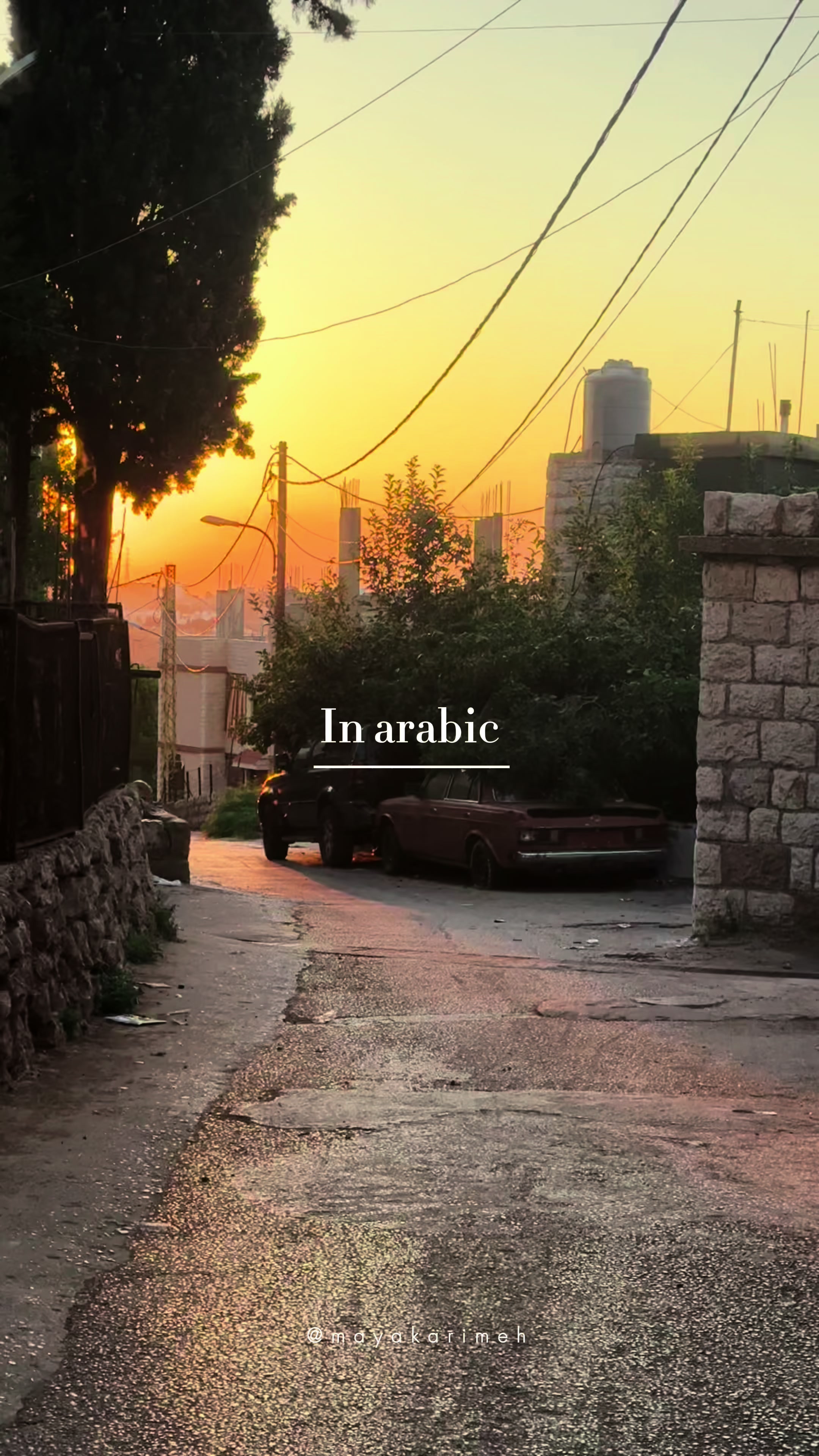 @MAYA O. Karimeh