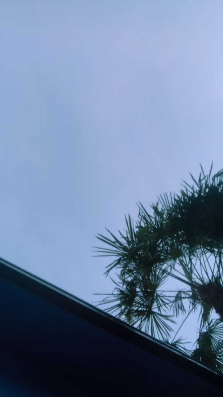 @lia.cava