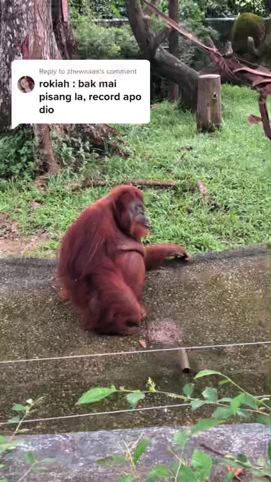 @Aliah Khan