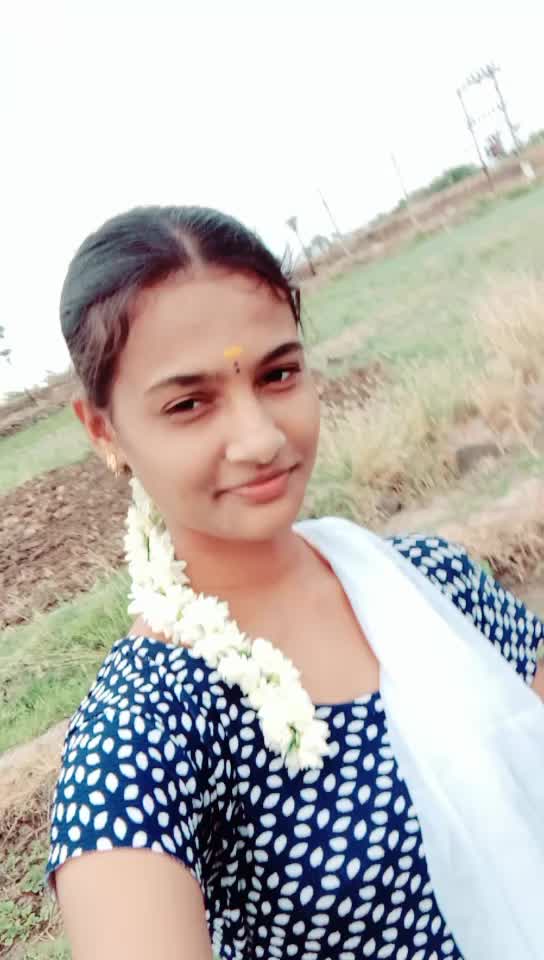 @little rose