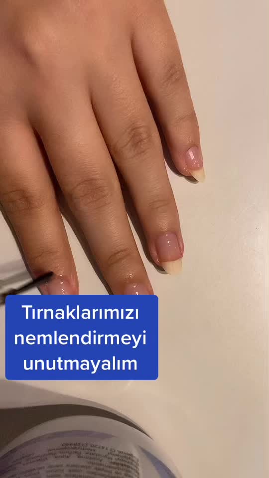 @Ceylan