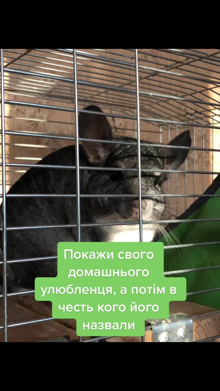 @Dasha Chernyshenko