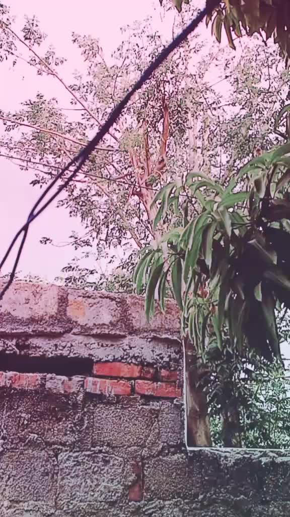 @Mahesh45