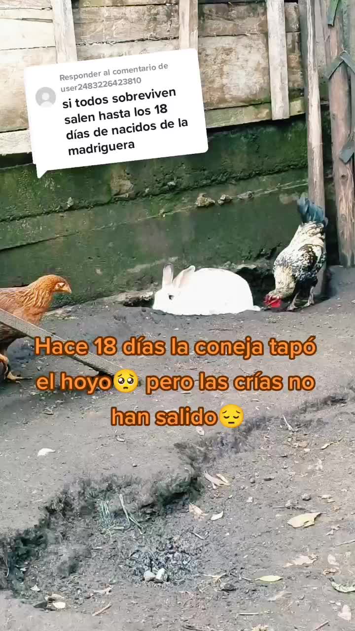 @Alely Paucar