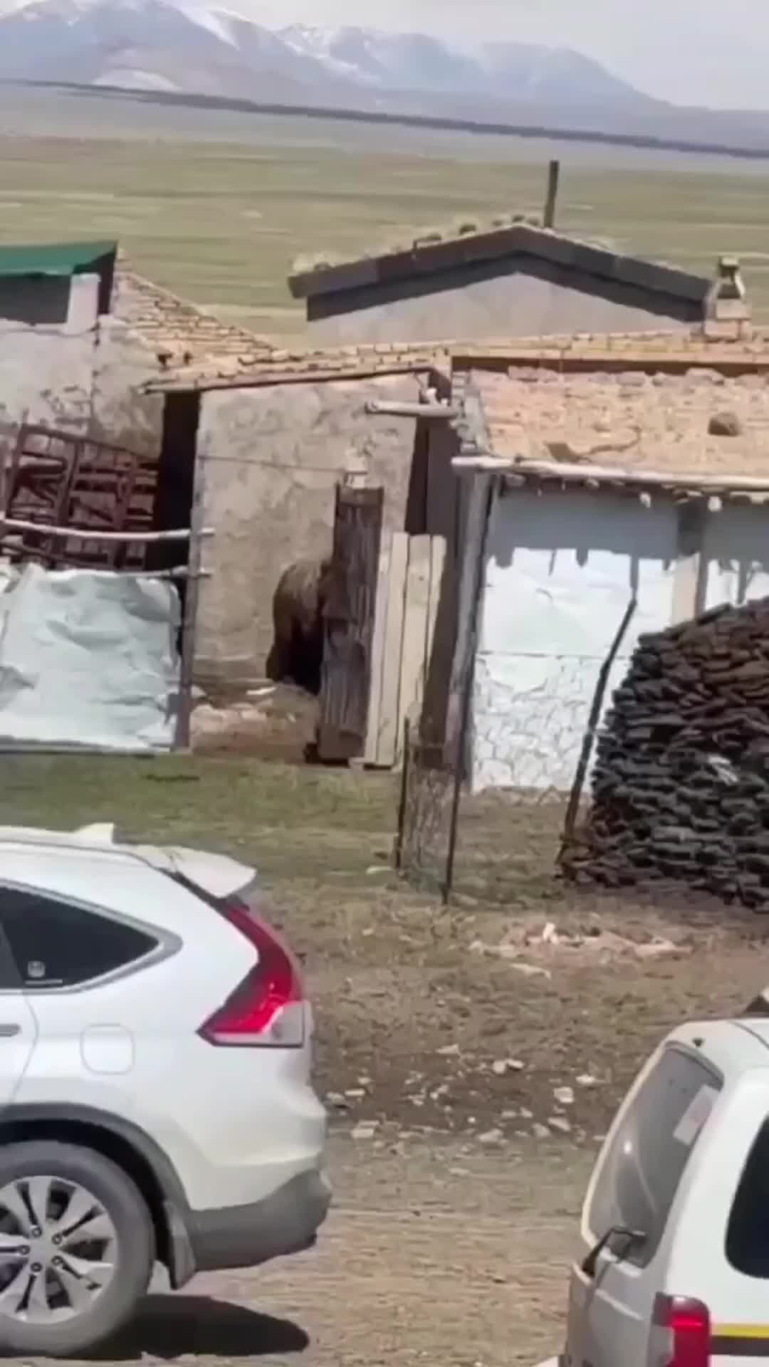 @OTTR Çek Gönder Gelsin