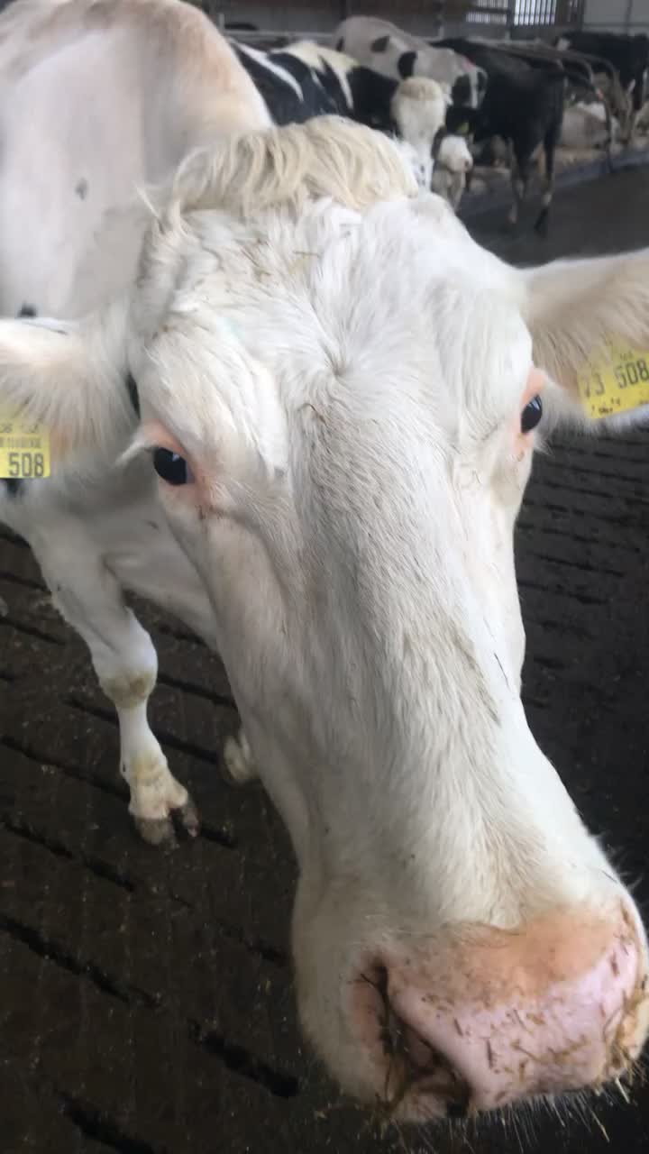 @FARMvisor