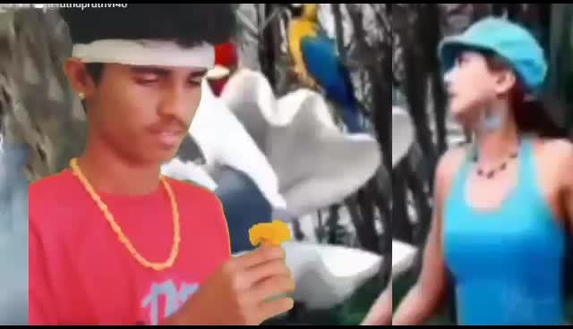 @user86253169295