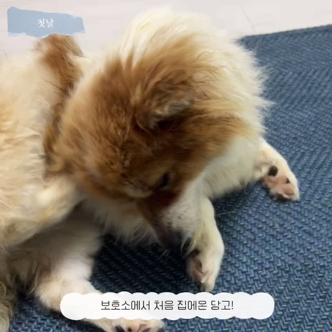 @์ฉ