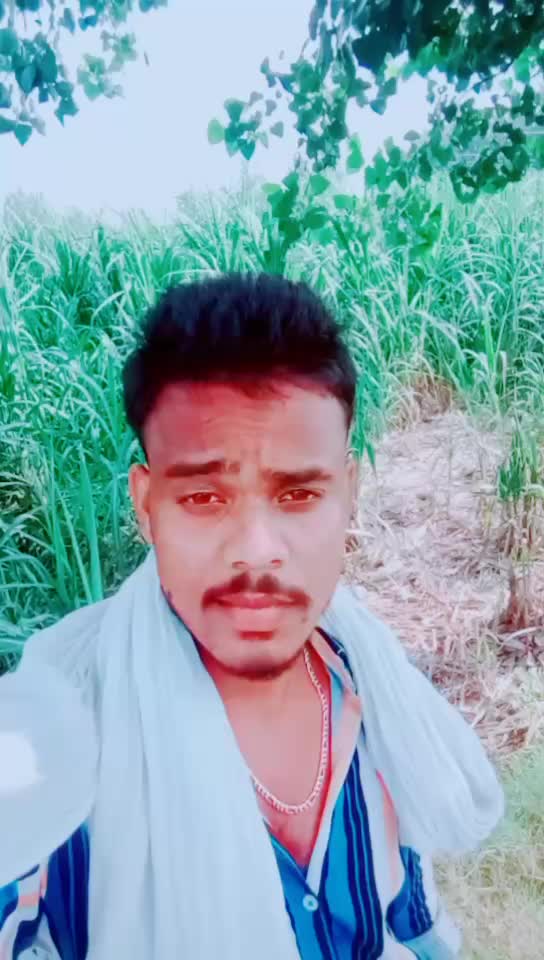 @anil royal chamar