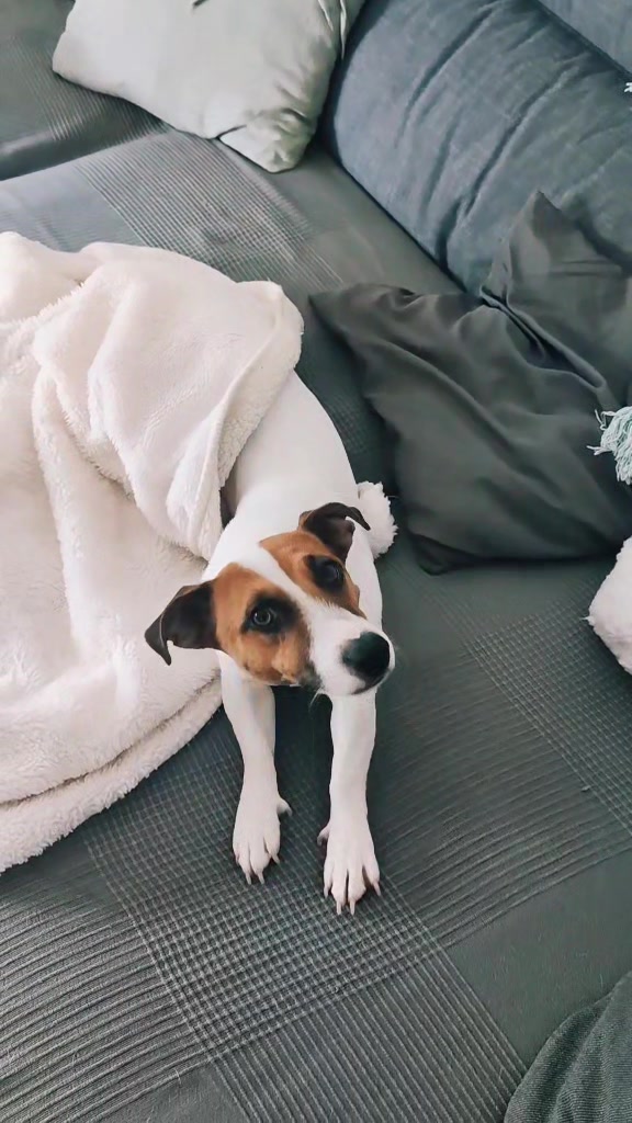 @Opie and Jax 🧡