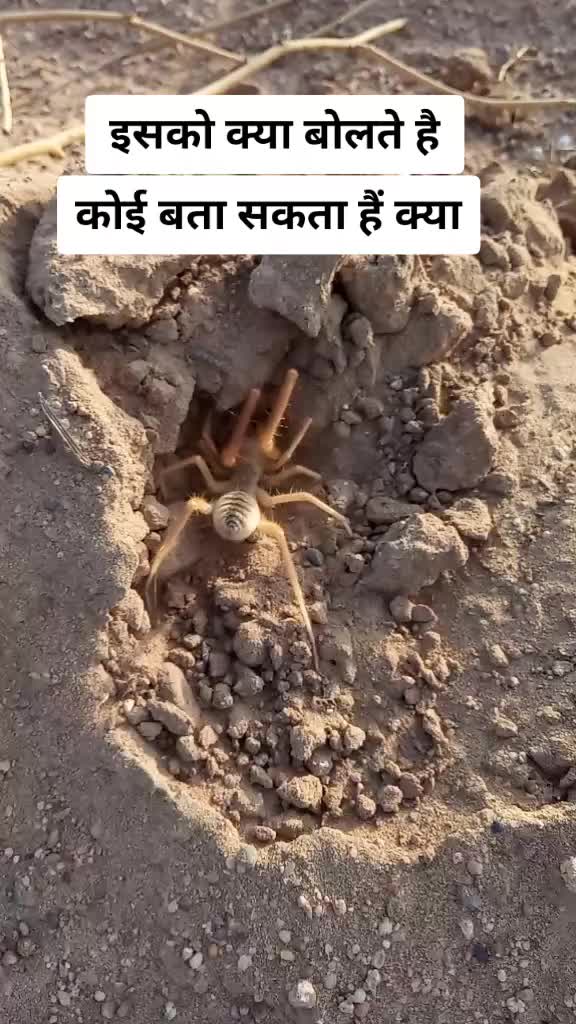 @⚡⚡teamrajasthani☀