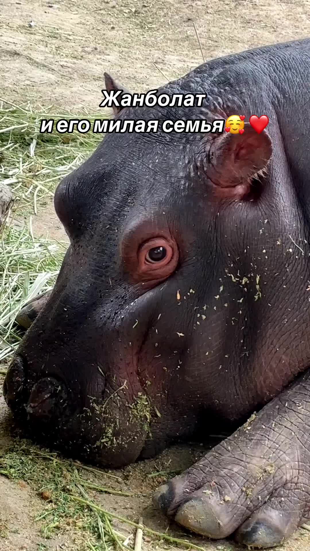 @Алматинский зоопарк