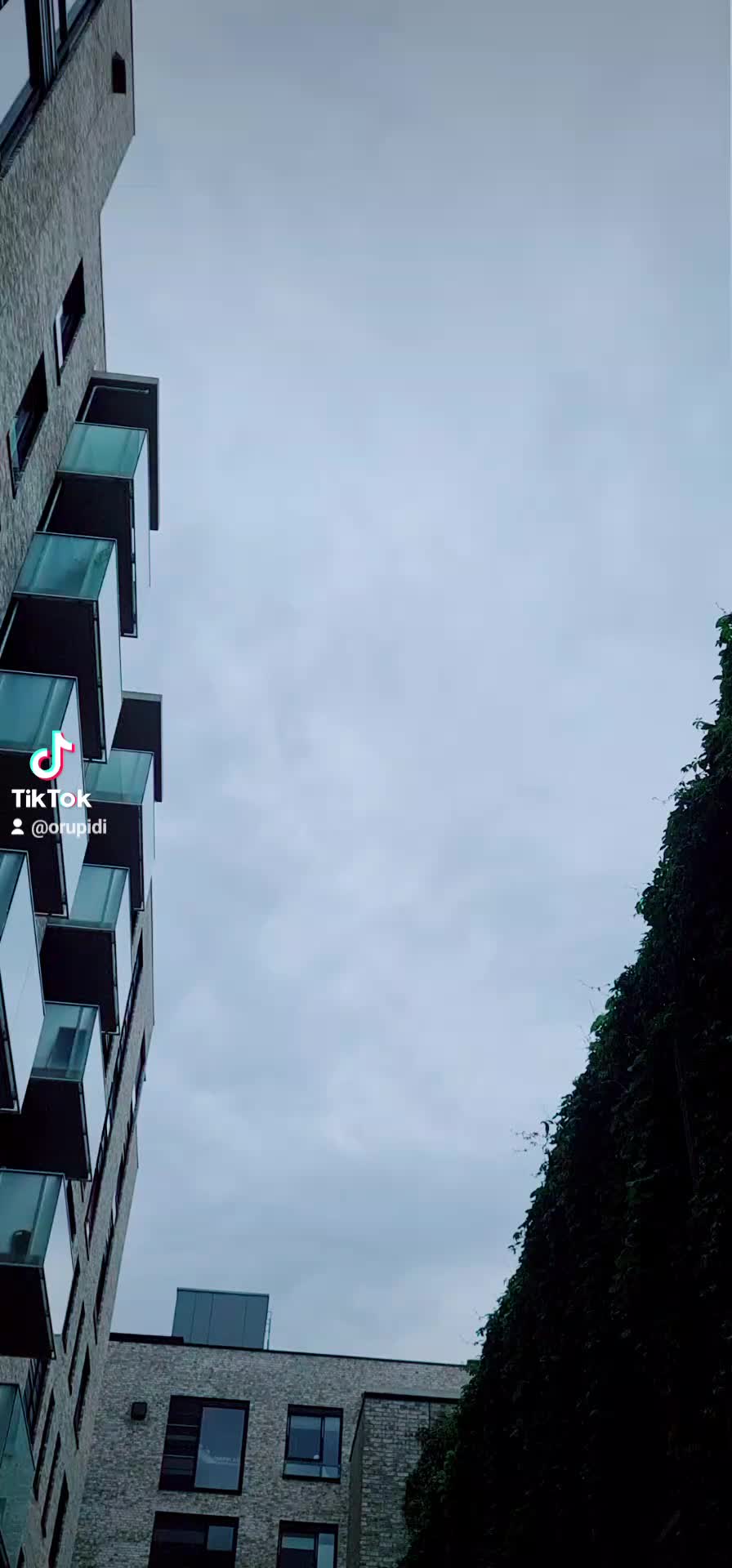 @Orupidi