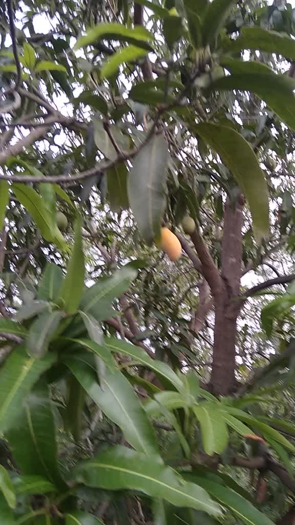 @Mohan Mohancst