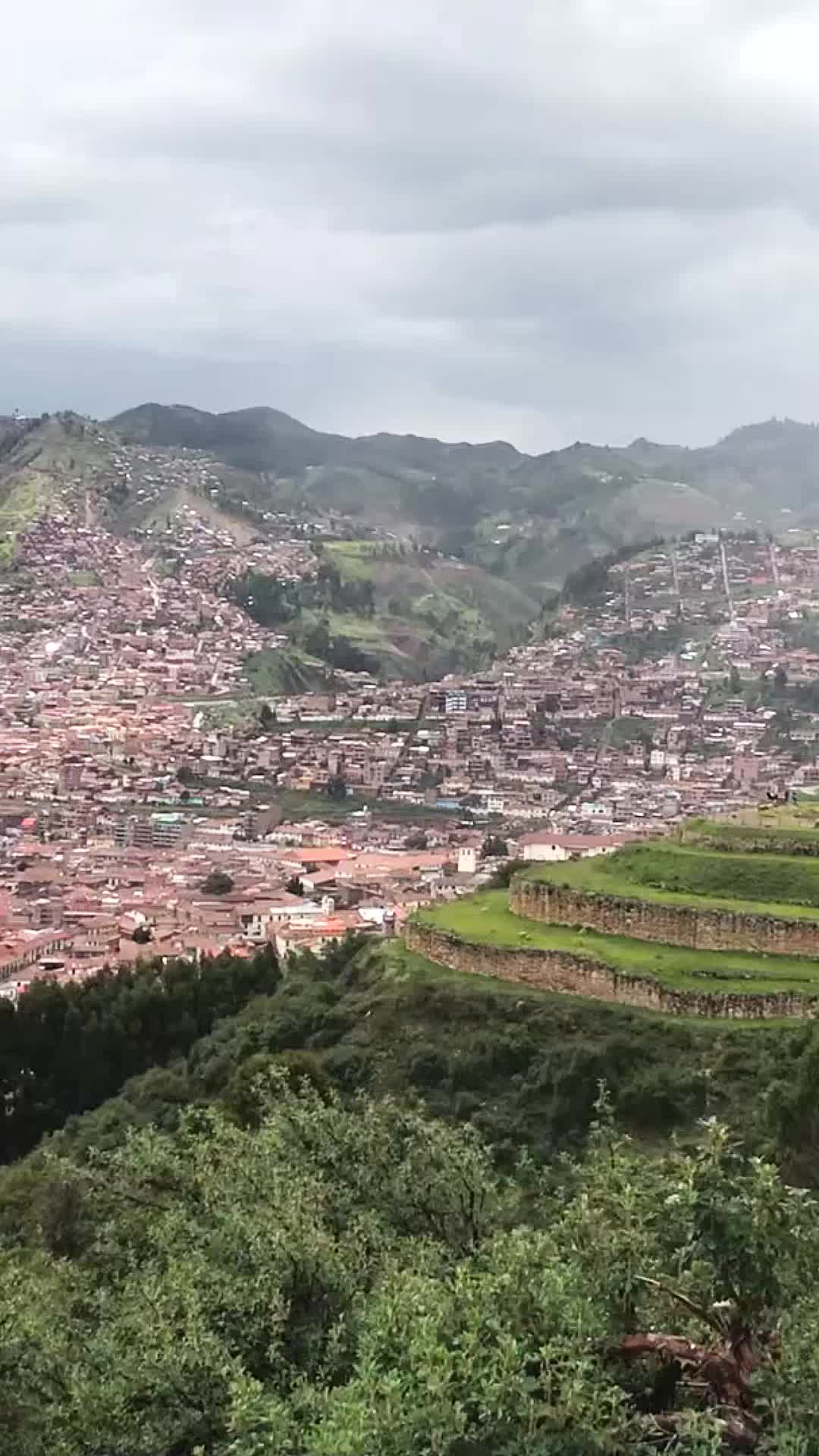 @TravelDino