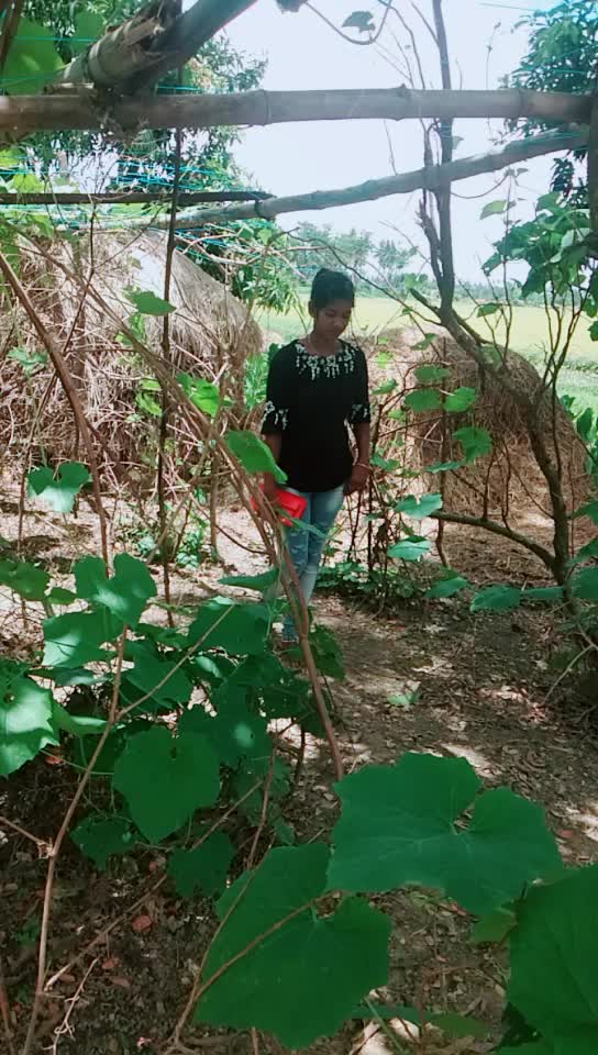 @user2397799100137
