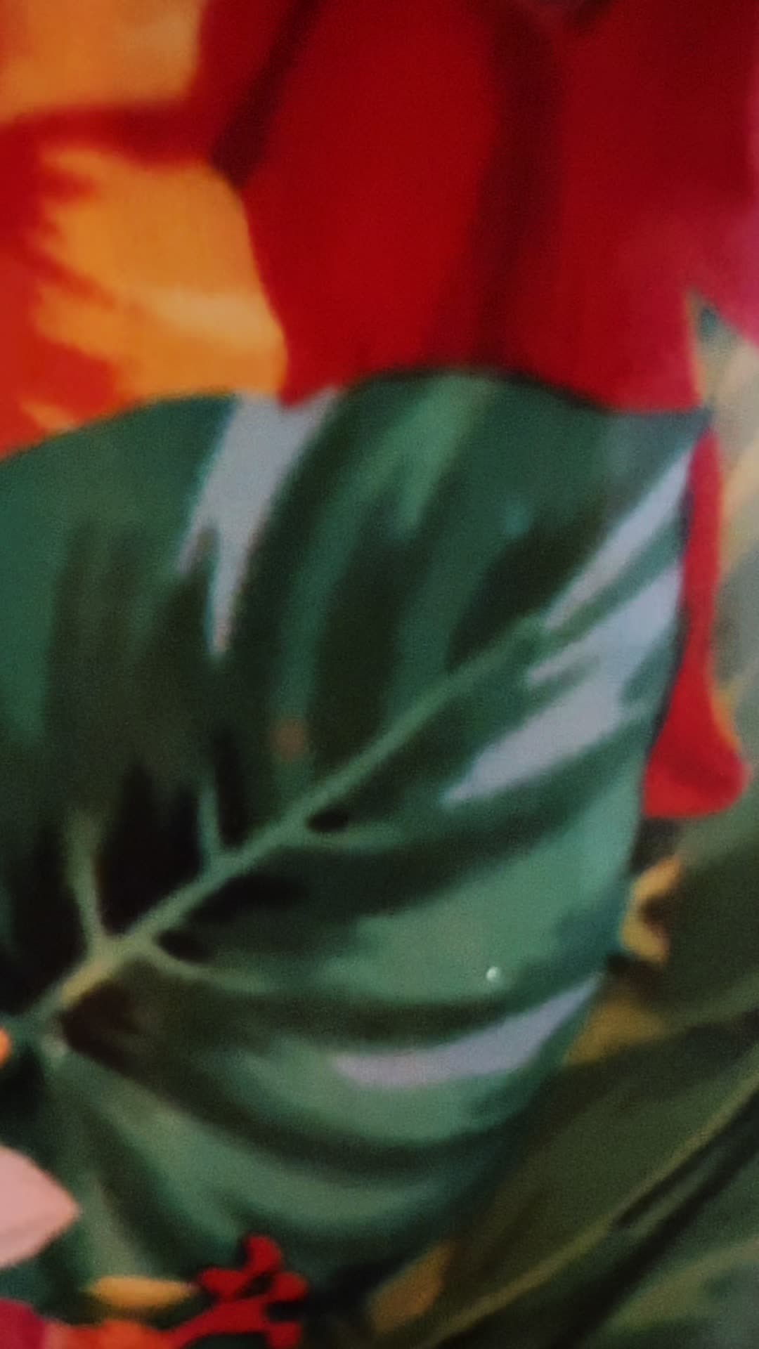 @NinaBrown704