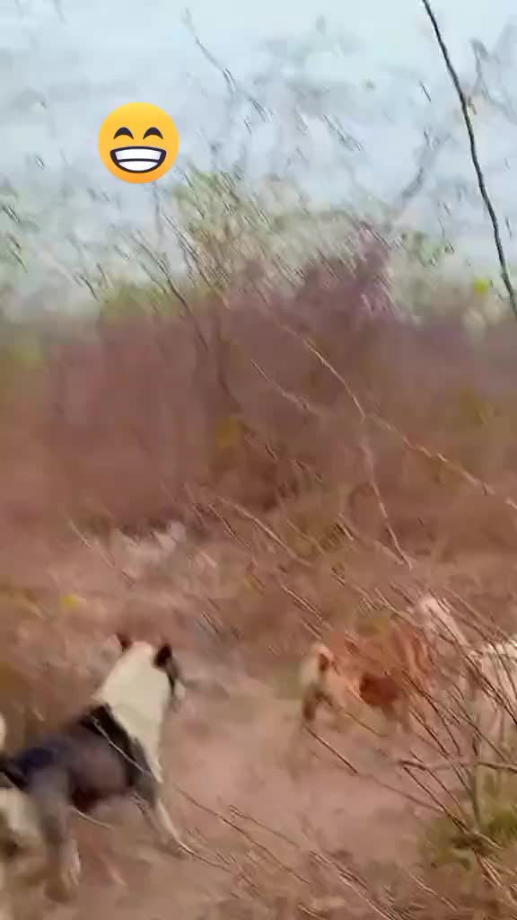 @Kiran 385