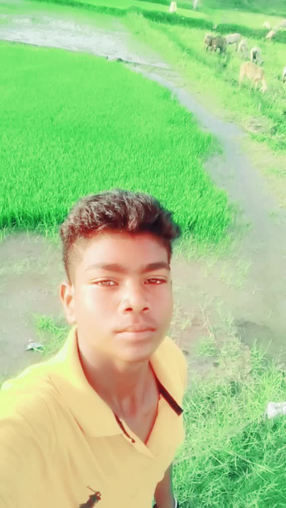 @Mabbu Star⭐
