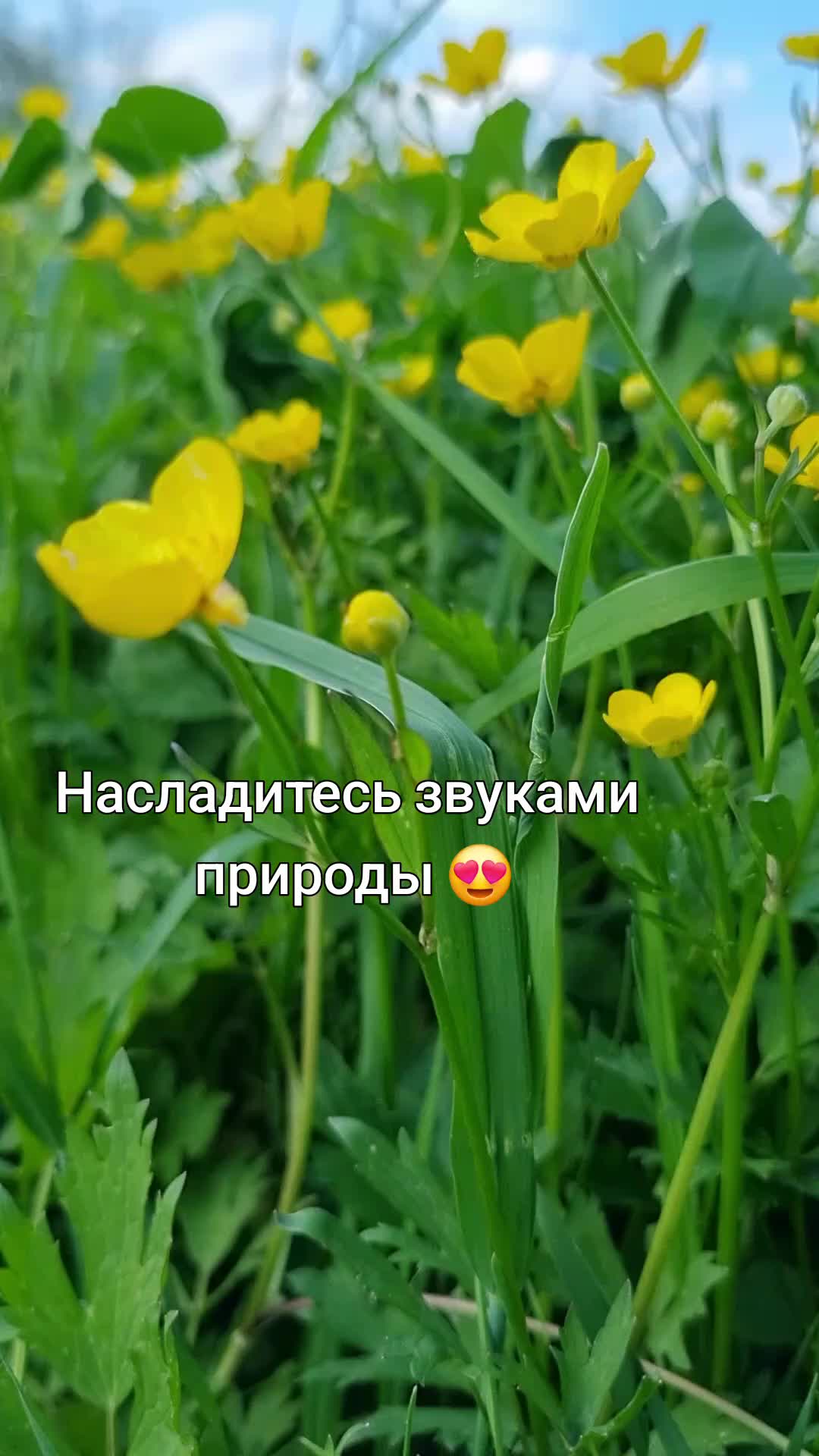 @Надежда Якимова