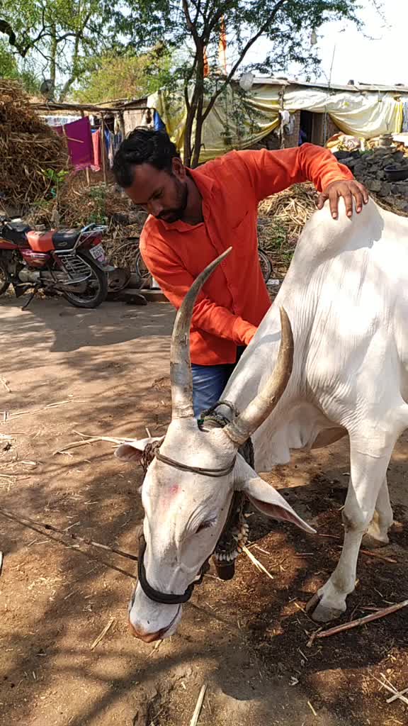 @Ravi sutar 123456