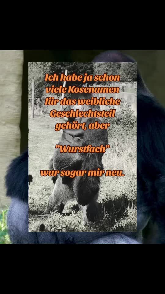@Einfach ich
