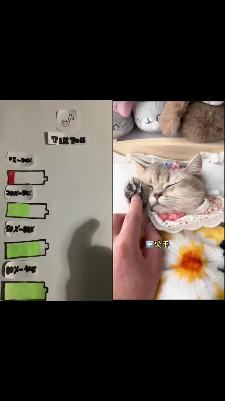 @MAX64WEYH