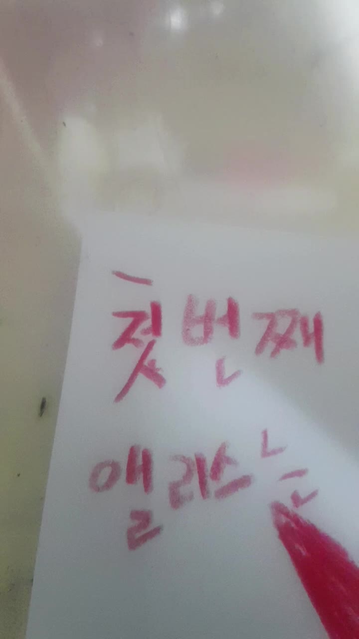 @도아라