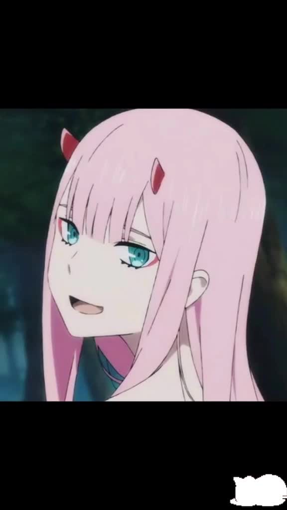@ᶻᵉʳᵒTWO