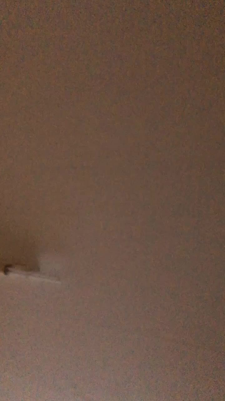 @𝐂𝐇𝐋𝐎𝐄_💟