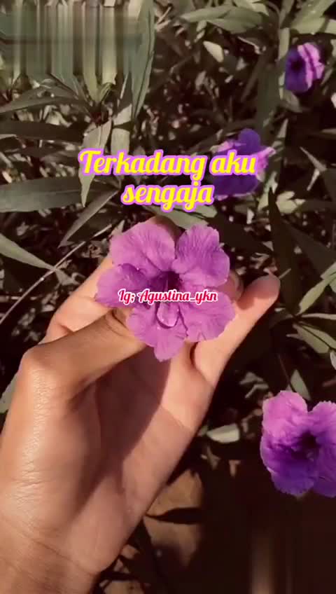 @Agustina_ykn ✅