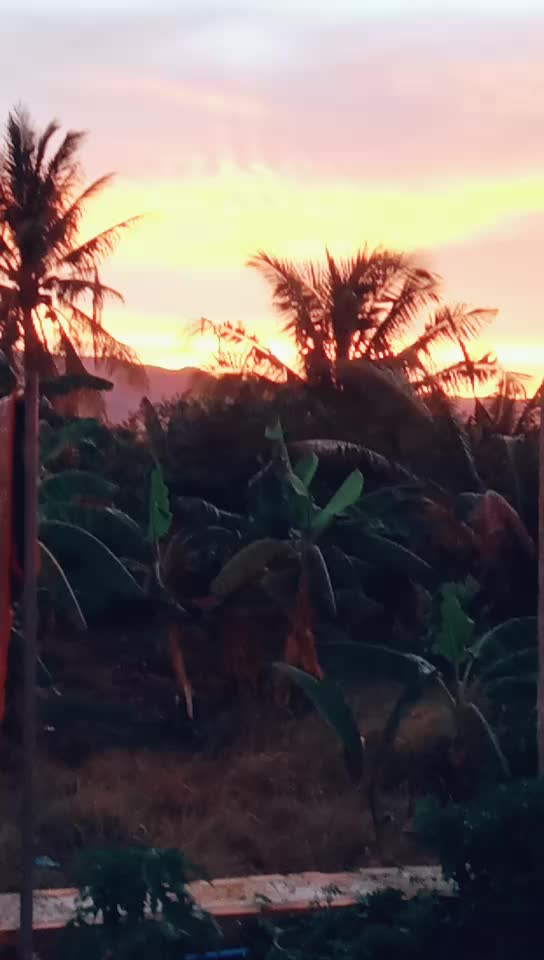 @ប្រូជើញ💖😍