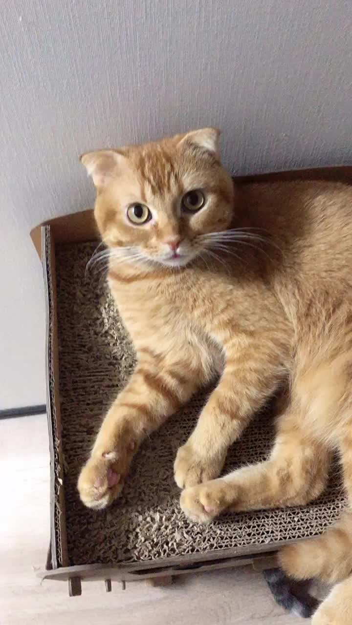 @LIZ💜道玄坂69