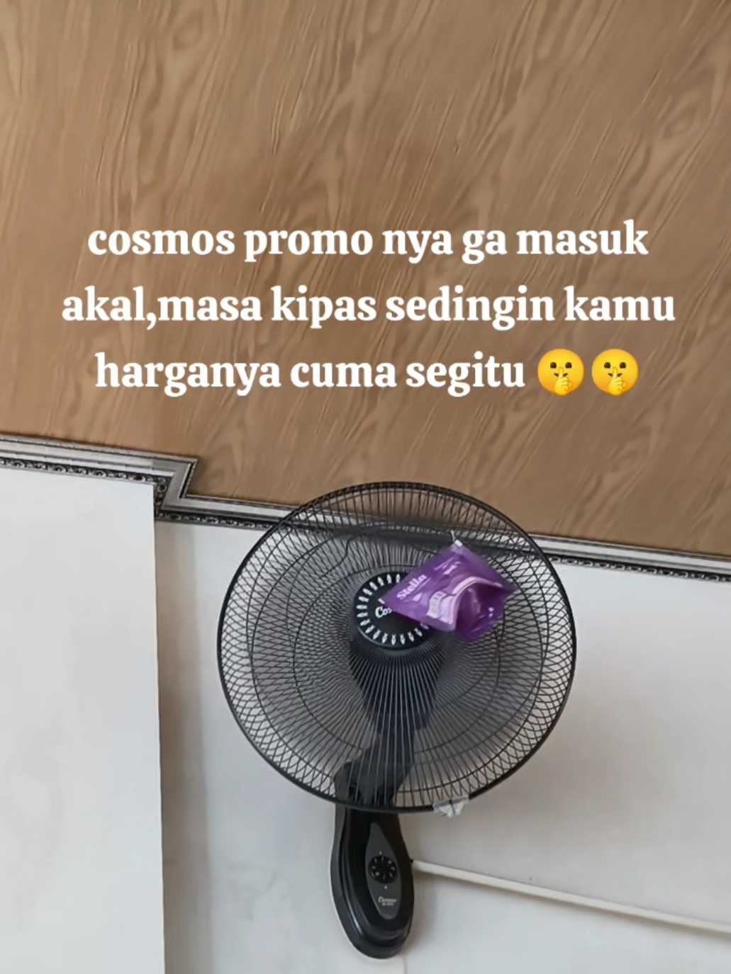 @zDn.Store