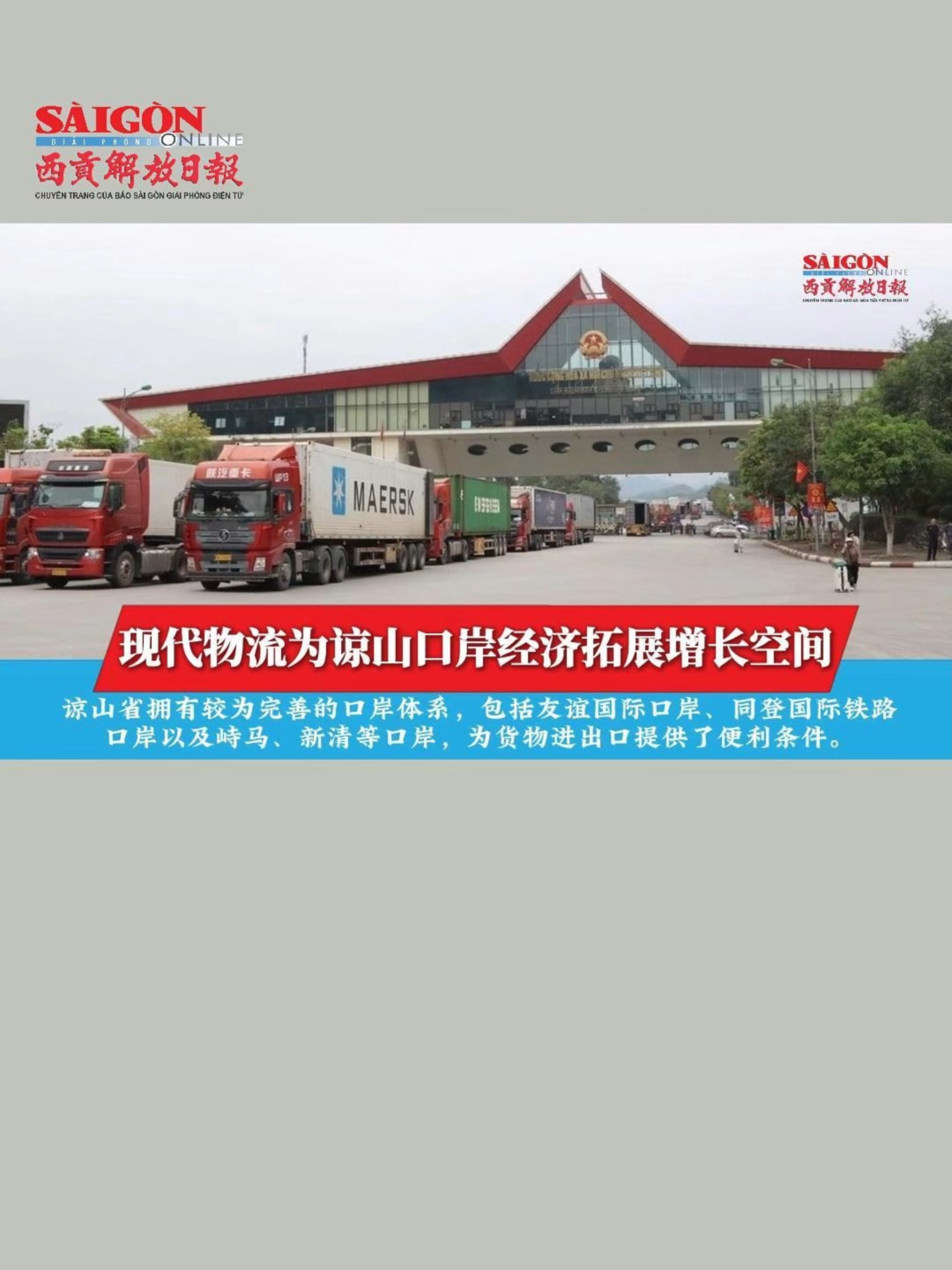 @西贡解放日报-B&aacute;o SGGP bản Hoa văn